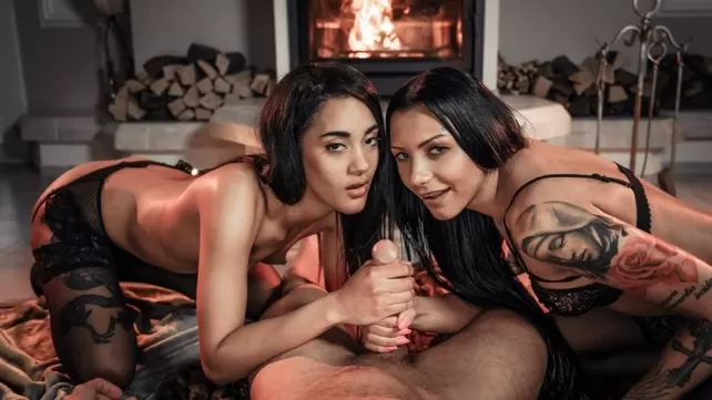 Beautiful kept women please the major with anal by the fireplace